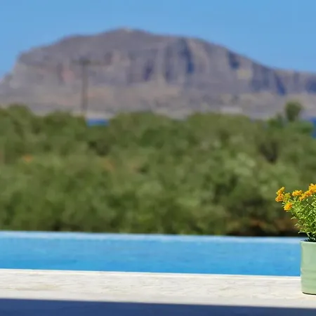 Apartament Manifesto